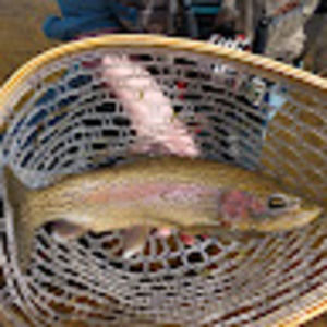 Meet your Posher, Aaron